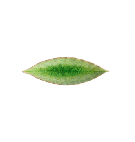 Costa Nova Riviera assiette laurel-feuille Costa Nova, vert (L 18 cm) VEP182GR - Coutellerie du Jet d'eau