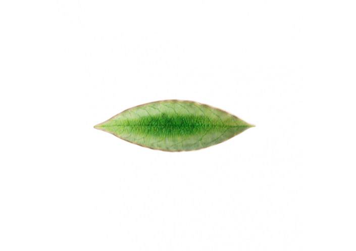 Costa Nova Riviera assiette laurel-feuille Costa Nova, vert (L 18 cm) VEP182GR - Coutellerie du Jet d'eau